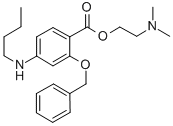 CAS#: 100311-18-0， 2-(Benzyloxy)-4-Butylamino-Benzoic Acid 2-(Dimethylamino)Ethyl Ester