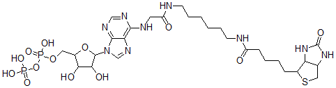 CAS#: 100844-62-0， Biotinyl-Adenoside Diphosphate