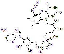 CAS#: 101760-85-4， [5-(6-Aminopurin-9-Yl)-3,4-Dihydroxyoxolan-2-Yl]Methyl [[5-(6-Azido-7,8-Dimethyl-2,4-Dioxobenzo[g]Pteridin-10-Yl)-2,3,4-Trihydroxypentoxy]-Hydroxyphosphoryl] Hydrogen Phosphate