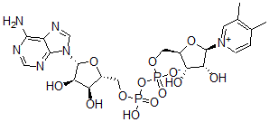 CAS#: 102686-21-5， [[(2R,3S,4R,5R)-5-(6-Aminopurin-9-Yl)-3,4-Dihydroxyoxolan-2-Yl]Methoxy-Hydroxyphosphoryl] [(2R,3S,4R,5R)-5-(3,4-Dimethylpyridin-1-Ium-1-Yl)-3,4-Dihydroxyoxolan-2-Yl]Methyl Phosphate