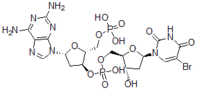 CAS#: 104576-80-9， Poly(2-Aminodeoxyadenylate-5-Bromodeoxyuridylate)