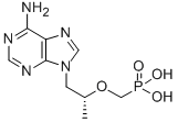 CAS#: 107021-12-5， 1-(6-Aminopurin-9-Yl)Propan-2-Yloxymethylphosphonic Acid