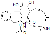 CAS#: 108050-27-7， (6S,7S,13E,16S,18R,19E,21R)-21-(acetyloxy)-6,7,18-trihydroxy-16,18-dimethyl-10-phenyl-(11)Cytochalasa-13,19-dien-1-one