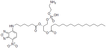 CAS#: 108762-10-3， [(2S)-3-(2-Aminoethoxy-Hydroxyphosphoryl)Oxy-2-[6-[(4-Nitro-2,1,3-Benzoxadiazol-7-Yl)Amino]Hexanoyloxy]Propyl] Hexadecanoate