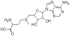 CAS#: 111093-45-9， 9-{5-[(3-Amino-3-Carboxypropyl)(Methyl)-lambda<Sup>4</Sup>-Sulfanyl]-5-Deoxypentofuranosyl}-9H-Purin-6-Amine