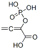 CAS#: 112683-56-4， Cyclohexanamine, 2-Phosphonooxybuta-2,3-Dienoic Acid