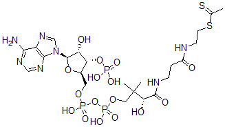 CAS#: 113947-51-6， Acetyldithio-Coenzyme A