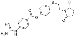 CAS#: 114568-26-2， 4-(2-Succinimidoethylthio)Phenyl 4-Guanidinobenzoate