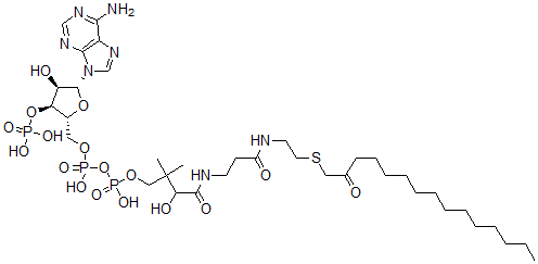 CAS#: 121124-66-1， S-(2-oxopentadecyl)-Coenzyme A
