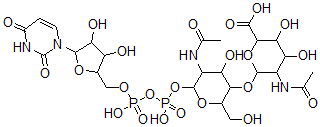 CAS#: 121324-56-9， Uridine 5'-(O-2-acetamido-2-deoxymannopyranuronosyl acid-(1-4)-2-acetamide-2-deoxyglucopyranosyl diphosphate)