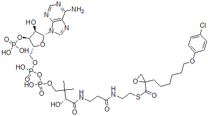 CAS#: 124122-91-4， Etomoxiryl-coenzyme A