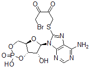 CAS#: 124357-34-2， 8-((4-Bromo-2,3-dioxobutyl)thio)adenosine cyclic 3',5'-(hydrogen phosphate)