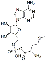 CAS#: 13091-93-5， [(2S)-2-Amino-4-Methylsulfanylbutyl] [(2R,3S,4R,5R)-5-(6-Aminopurin-9-Yl)-3,4-Dihydroxyoxolan-2-Yl]Methyl Hydrogen Phosphate