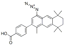 CAS#: 131206-65-0， 4-(4-Azido-1,5,5,8,8-Pentamethyl-6,7-Dihydroanthracen-2-Yl)Benzoic Acid