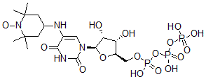 CAS#: 136134-11-7， 5-Amino-(2,2,6,6-Tetramethylpiperidine-N-Oxyl)Uridine 5'-Triphosphate
