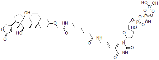 CAS#: 137067-07-3， Digoxigenin-11-2',3'-dideoxyuridine 5'-triphosphate