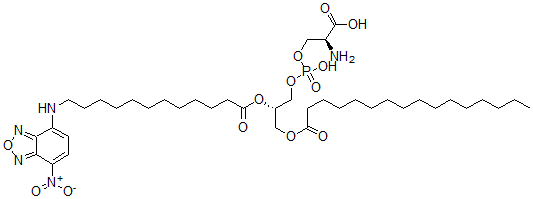 CAS#: 138898-75-6， (2S)-2-Amino-3-[[(2S)-3-Hexadecanoyloxy-2-[12-[(4-Nitro-2,1,3-Benzoxadiazol-7-Yl)Amino]Dodecanoyloxy]Propoxy]-Hydroxyphosphoryl]Oxypropanoic Acid