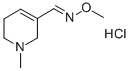 CAS#: 139886-04-7， N-Methoxy-1-(1-Methyl-5,6-Dihydro-2H-Pyridin-3-Yl)Methanimine Hydrochloride