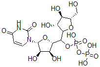 CAS 登录号:14697-41-7, 尿苷二磷酸酯阿拉伯糖