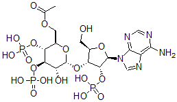 CAS#: 149091-93-0， [(2R,3R,4R,5R,6R)-6-[(2R,3R,4R,5R)-5-(6-Aminopurin-9-Yl)-2-(Hydroxymethyl)-4-Phosphonooxyoxolan-3-Yl]Oxy-5-Hydroxy-3,4-Diphosphonooxyoxan-2-Yl]Methyl Acetate