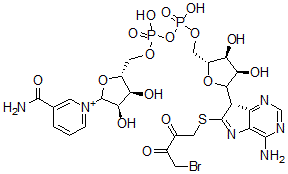 CAS#: 154591-46-5， 8-(4-Bromo-2,3-dioxobutylthio)nicotinamide adenine dinucleotide