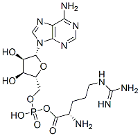 CAS 登录号：15470-08-3， 精氨酰腺苷酸