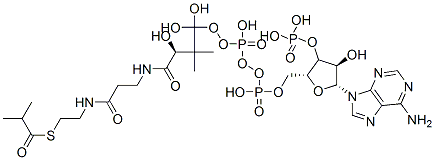 CAS#: 15621-60-0， [(2R,3S,4R,5R)-5-(6-Aminopurin-9-Yl)-4-Hydroxy-2-[[Hydroxy-[Hydroxy-[(3R)-3-Hydroxy-2,2-Dimethyl-3-[2-[2-(2-Methylpropanoylsulfanyl)Ethylcarbamoyl]Ethylcarbamoyl]Propoxy]Phosphoryl]Oxy-Phosphoryl]Oxymethyl]Oxolan-3-Yl]Oxyphosphonic Acid