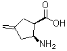 CAS#: 156292-16-9， (1R,2S)-2-Amino-4-Methylenecyclopentanecarboxylic Acid
