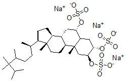 CAS#: 162232-39-5， Sodium [(2S,3S,6S,8S,9S,10R,13R,14S,17R)-10,13-Dimethyl-2,3-Disulfonatooxy-17-[(2R)-5,6,6,7-Tetramethyloctan-2-Yl]-2,3,4,5,6,7,8,9,11,12,14,15,16,17-Tetradecahydro-1H-Cyclopenta[a]Phenanthren-6-Yl] Sulfate