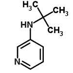 CAS#: 163276-85-5， N-(2-Methyl-2-Propanyl)-3-Pyridinamine
