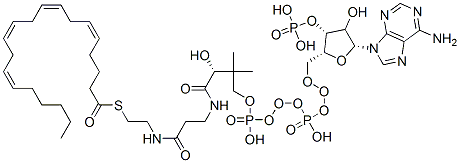 CAS#: 17046-56-9， S-[2-[3-[[(2R)-4-[[[(2R,3R,5R)-5-(6-Aminopurin-9-Yl)-4-Hydroxy-3-Phosphonooxyoxolan-2-Yl]Methoxy-Hydroxyphosphoryl]Oxy-Hydroxyphosphoryl]Oxy-2-Hydroxy-3,3-Dimethylbutanoyl]Amino]Propanoylamino]Ethyl] (5Z,8Z,11Z,14Z)-Icosa-5,8,11,14-Tetraenethioate