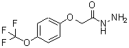structure of CAS# 175204-36-1, 2-[4-(Trifluoromethoxy)Phenoxy]Acetohydrazide;4-(Trifluoromethoxy)phenoxyacetic acid hydrazide;4-(Trifluoromethoxy)phenoxyacetic hydrazide;4-(Trifluoromethoxy)phenoxyacetic hydrazide 97%