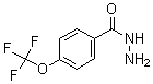结构式 CAS# 175277-18-6, 4-(三氟甲氧基)-苯甲酰肼