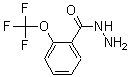 structure of CAS# 175277-19-7, 2-(Trifluoromethoxy)-Benzoic Acid Hydrazide;2-(Trifluoromethoxy)Benzoic Acid Hydrazide 95%;2-(Trifluoromethoxy)Benzene-1-Carbohydrazide;2-(Trifluoromethoxy)Benzoicacidhydrazide95%