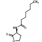 structure of CAS# 177158-20-2, N-[(3S)-2-Oxotetrahydro-3-Furanyl]Heptanamide;(±)-N-heptanoylhomoserine lactone;heptanamide, N-(tetrahydro-2-oxo-3-furanyl)-, (S)-;N-[(3S)-tetrahydro-2-oxo-3-furanyl]-heptanamide