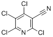 CAS#: 17824-82-7， 2,4,5,6-Tetrachloro-Nicotinonitrile