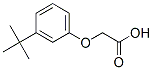 CAS#: 1878-55-3， [3-(1,1-Dimethylethyl)Phenoxy]Acetic Acid