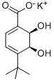 CAS#: 205639-92-5， (5S,6R)-4-Tert-Butyl-5,6-Dihydroxycyclohexa-1,3-Diene-1-Carboxylate