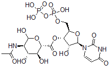 CAS#: 21654-37-5， Udp-N-Acetylglucosaminuronic Acid