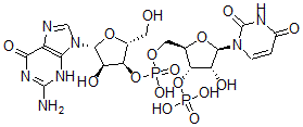 CAS#: 2240-05-3， Guanylyl(3'-5')uridine 3'-monophosphate