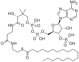 CAS#: 25045-61-8， Coenzyme A-S-Nonadecanoate