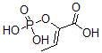 CAS#: 25956-55-2， 2-(Phosphonooxy)-2-Butenoic acid