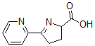 CAS 登录号：26927-08-2， 3,4-二氢-5-(2-吡啶基)-2H-吡咯-2-羧酸