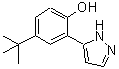 CAS#: 288844-49-5， 4-(2-Methyl-2-Propanyl)-2-(1H-Pyrazol-5-Yl)Phenol
