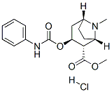 CAS#: 29364-13-4， Methyl (1S,2S,3S,5R)-8-Methyl-3-(Phenylcarbamoyloxy)-8-Azabicyclo[3.2. 1]Octane-2-Carboxylate Hydrochloride