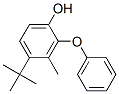CAS#: 307000-42-6， 4-(2-tert-Butyl-5-methylphenoxy)phenol