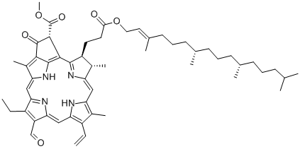 CAS 登录号：3147-18-0， 脱镁叶绿素 B