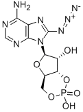 CAS#: 31966-52-6， 8-Azidoadenosine-3',5'-Cyclic Monophosphate