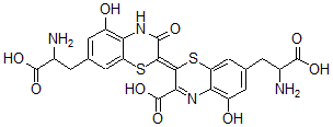 CAS#: 32214-49-6， (2E)-7-(2-Amino-3-Hydroxy-3-Oxopropyl)-2-[7-(2-Amino-3-Hydroxy-3-Oxopropyl)-5-Hydroxy-3-Oxo-4H-1,4-Benzothiazin-2-Ylidene]-5-Hydroxy-1,4-Benzothiazine-3-Carboxylic Acid