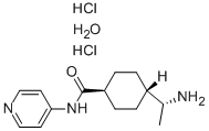 CAS#: 331752-47-7， (R)-(+)-trans-4-(1-Aminoethyl)-N-(4-Pyridyl)Cyclohexanecarboxamide Dihydrochloride Monohydrate
